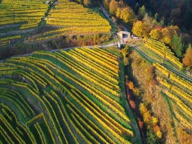 Rotes Tor in Spitz, &copy; Markus Haslinger/www.extremfotos.com