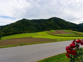 Ausblick von der Kapelle Gerersdorf, &copy; Unknown
