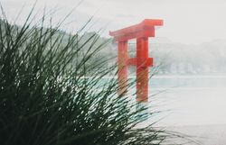 Exterior view of the Linsberg Asia Therme with pool and red torii.
