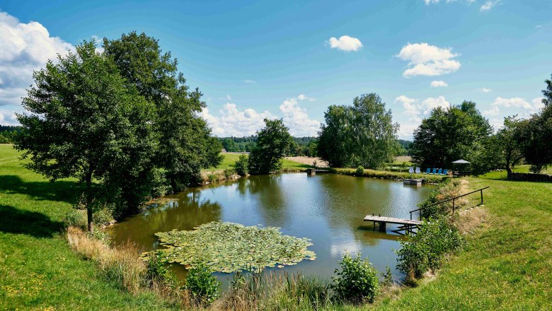 The bathing pond for our guests, &copy; Biohof Hammerschmidt