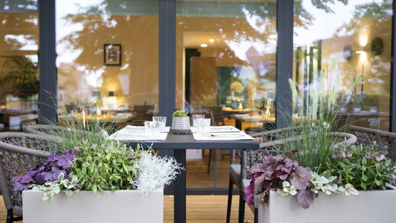 Set table on the terrace with plants, view into the restaurant.