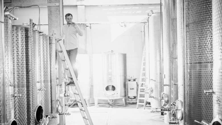 Man on ladder in wine cellar with stainless steel tanks.