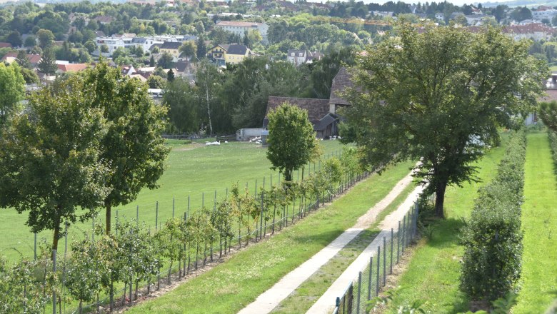 Dionysosweg, © StadtGemeinde Mistelbach / Mag. Mark Schönmann