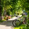 Bicycles parked in a bicycle parking lot at an inn, surrounded by green trees and flowers.
