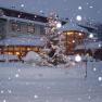 Snow-covered building with Christmas tree and lights, Ramswirt sign visible.