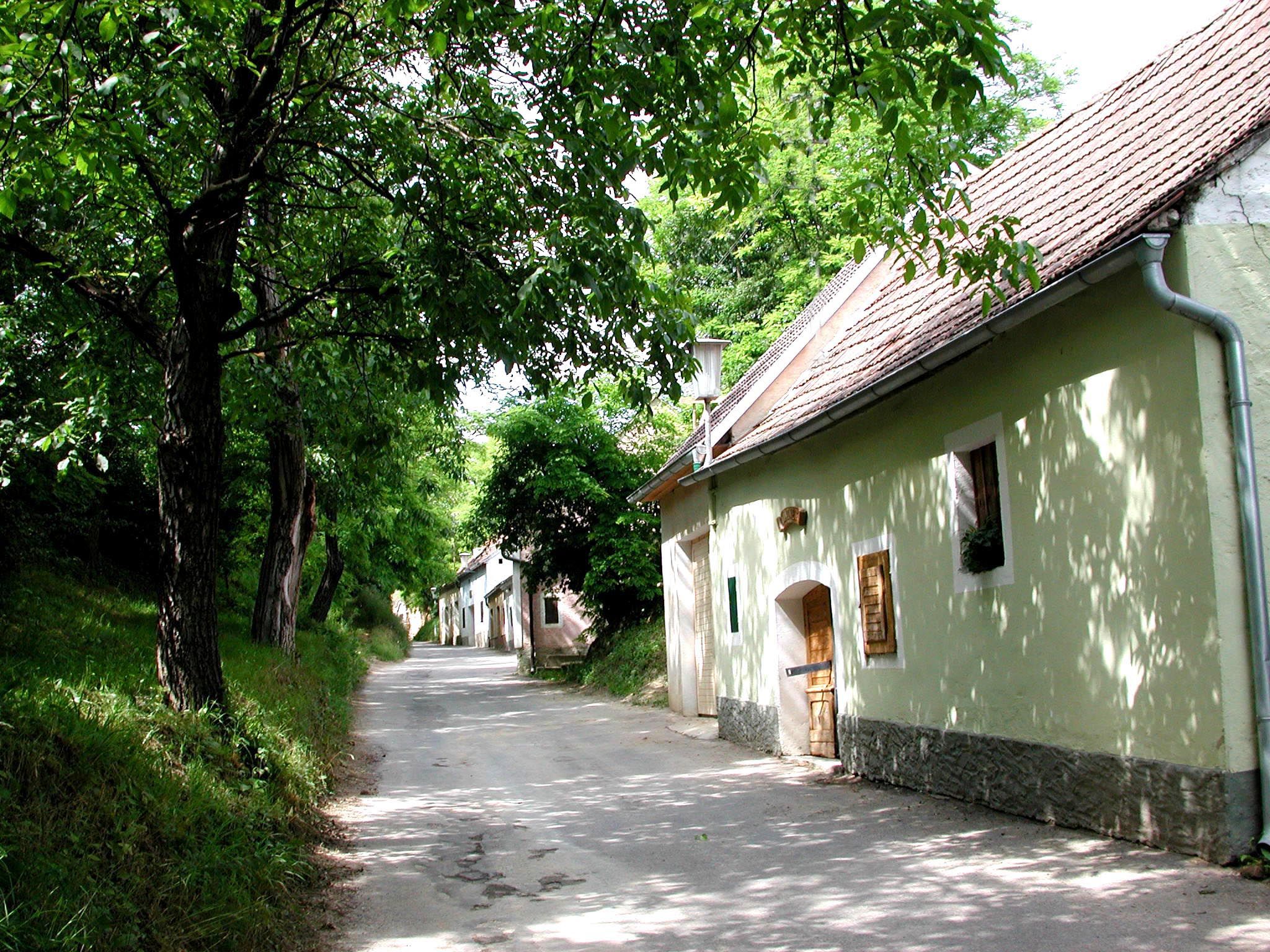 A narrow street in a wine cellar lane with trees and old buildings.