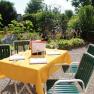 A sunny guest garden with a table set with a yellow tablecloth and glasses, surrounded by green plants.