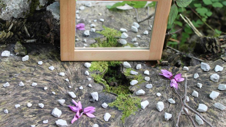 Experience the forest., © Elisabeth Winkler