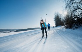 People cross-country skiing on a snow-covered trail in the Waldviertel.