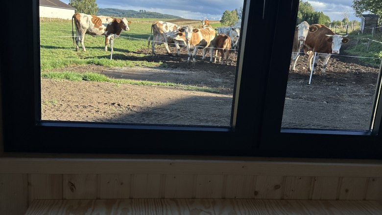 View from the Tiny House, &copy; deutsch