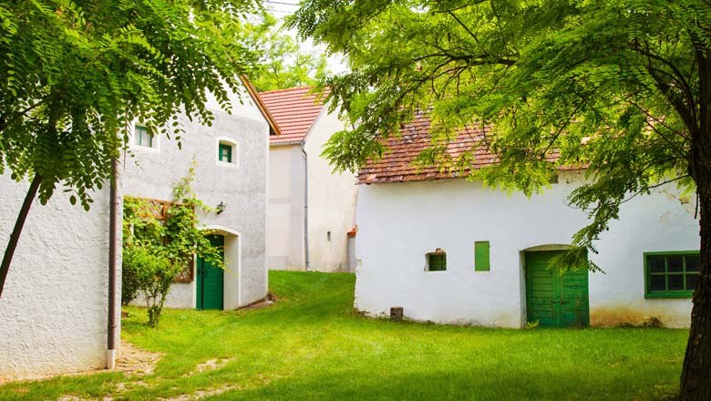 Wine cellar lane Großkrut, © Gemeinde Großkrut