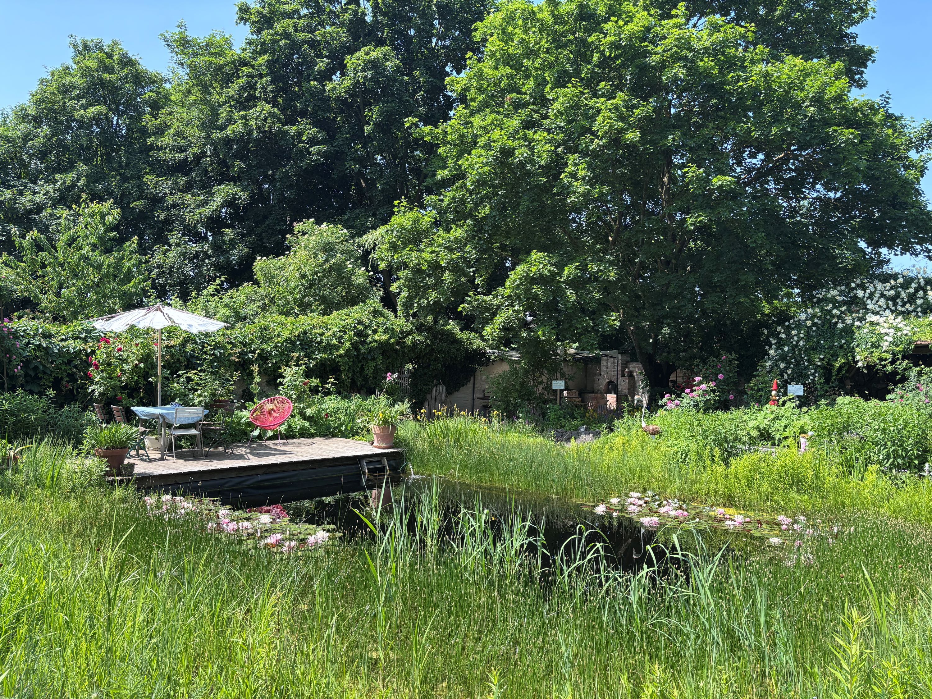 An idyllic garden with pond, wooden terrace, table and chairs under a parasol, surrounded by lush vegetation and trees.