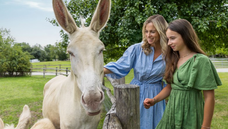 Schloss Hof_Wurnig_06695© Schloß Schönbrunn Kultur- und Betriebsges.m.b.H. - Severin Wurnig_web, © SKB_Severin Wurnig