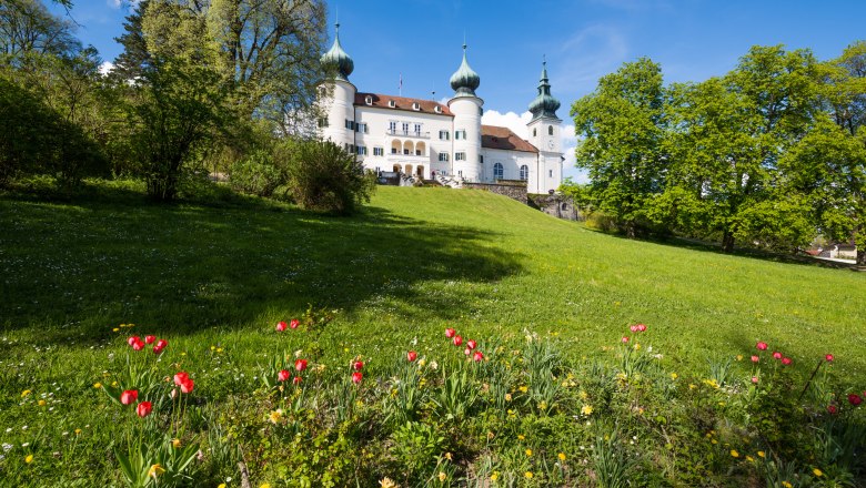 Artstetten Castle with blooming tulips in the foreground and blue sky in the background.