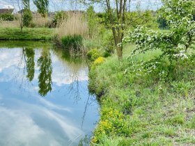 Watzelsdorf Wasserwelt, © Weinstraße Weinviertel