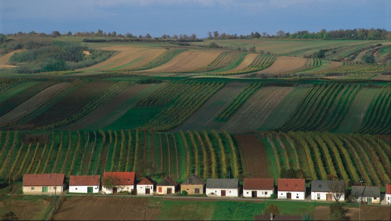 Vineyards in the southern Weinviertel with small houses in the foreground.