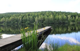 Schlesinger pond, © Tourismusverein Bärnkopf