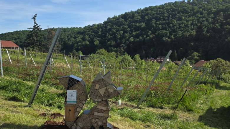 Viticulture Manuel Fuchs, &copy; Manuel Fuchs