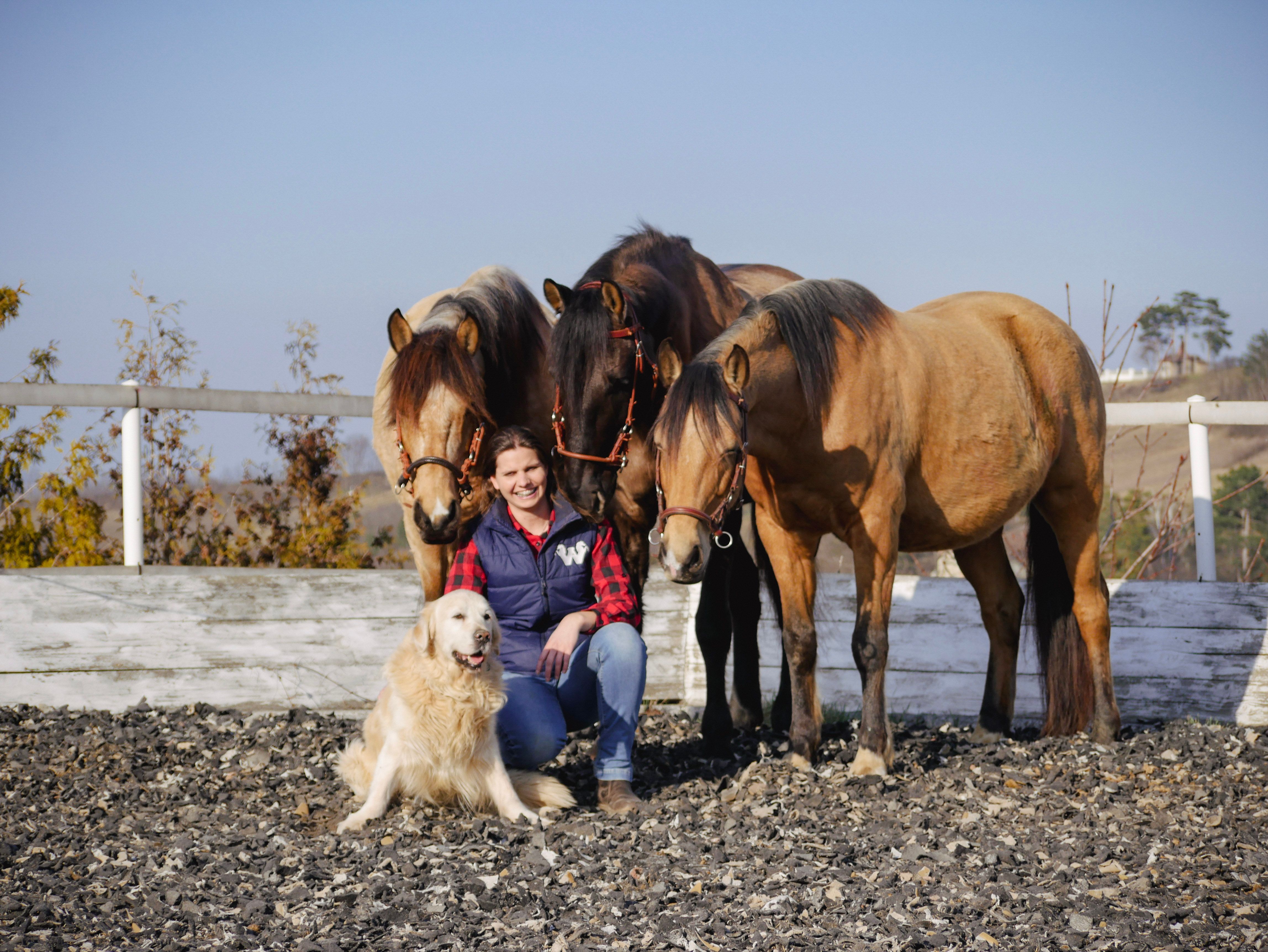 A woman sits smiling in a riding arena, surrounded by three horses and a dog.