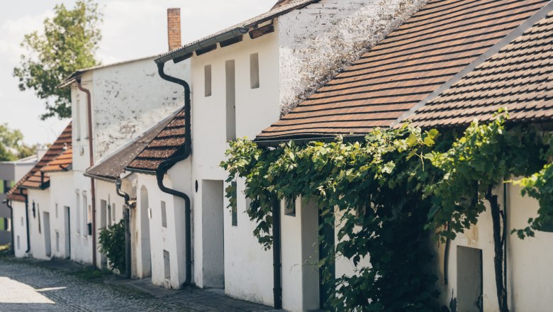 A picturesque wine cellar lane with white buildings and vines in Poysdorf, Austria.