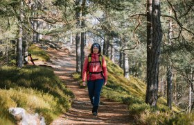 A woman walks along a forest path, surrounded by trees and sunlight.