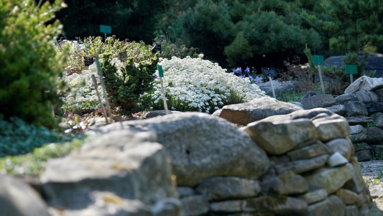 Steinmauer im Garten, © Alexander Haiden