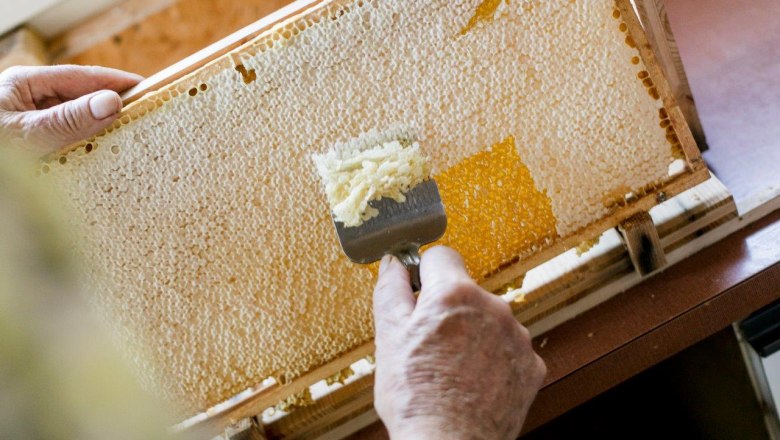 Vacation at the Zwergerlhof, © schwarz-koenig.at