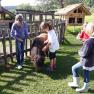 Children stroking a pony in a meadow next to a wooden fence.