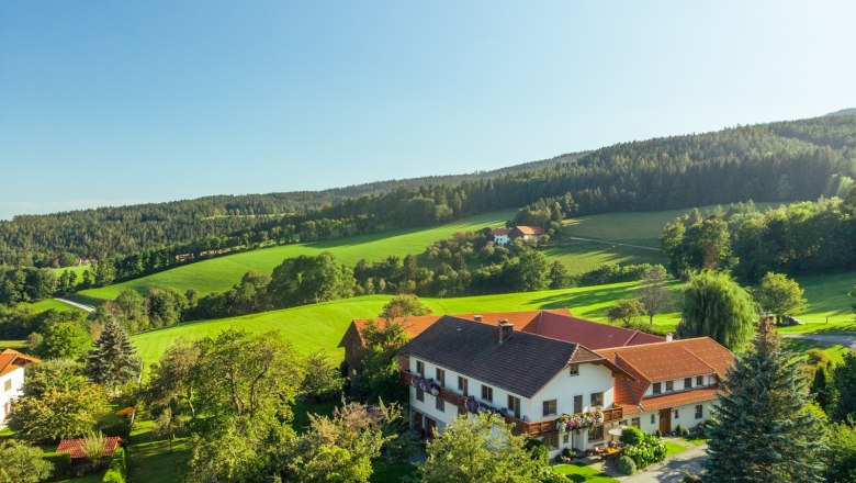 Rural landscape with a large house surrounded by green fields and trees under a blue sky.