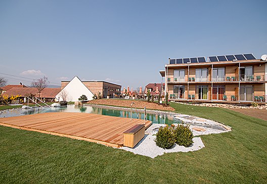 A modern garden with a natural pool and a building in the background.