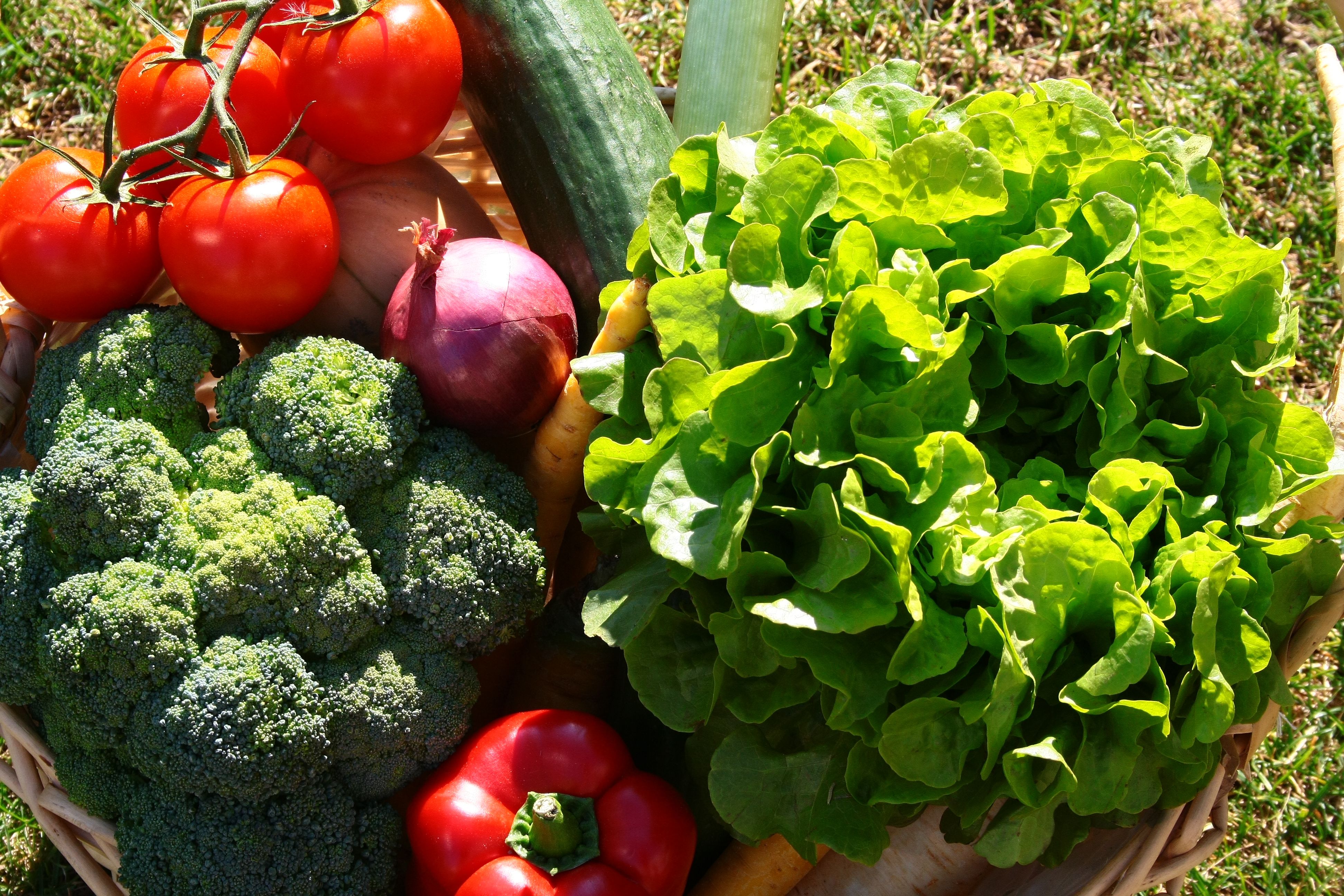 Landhof Laden Kittsee, fresh vegetables such as lettuce, peppers, tomatoes etc.