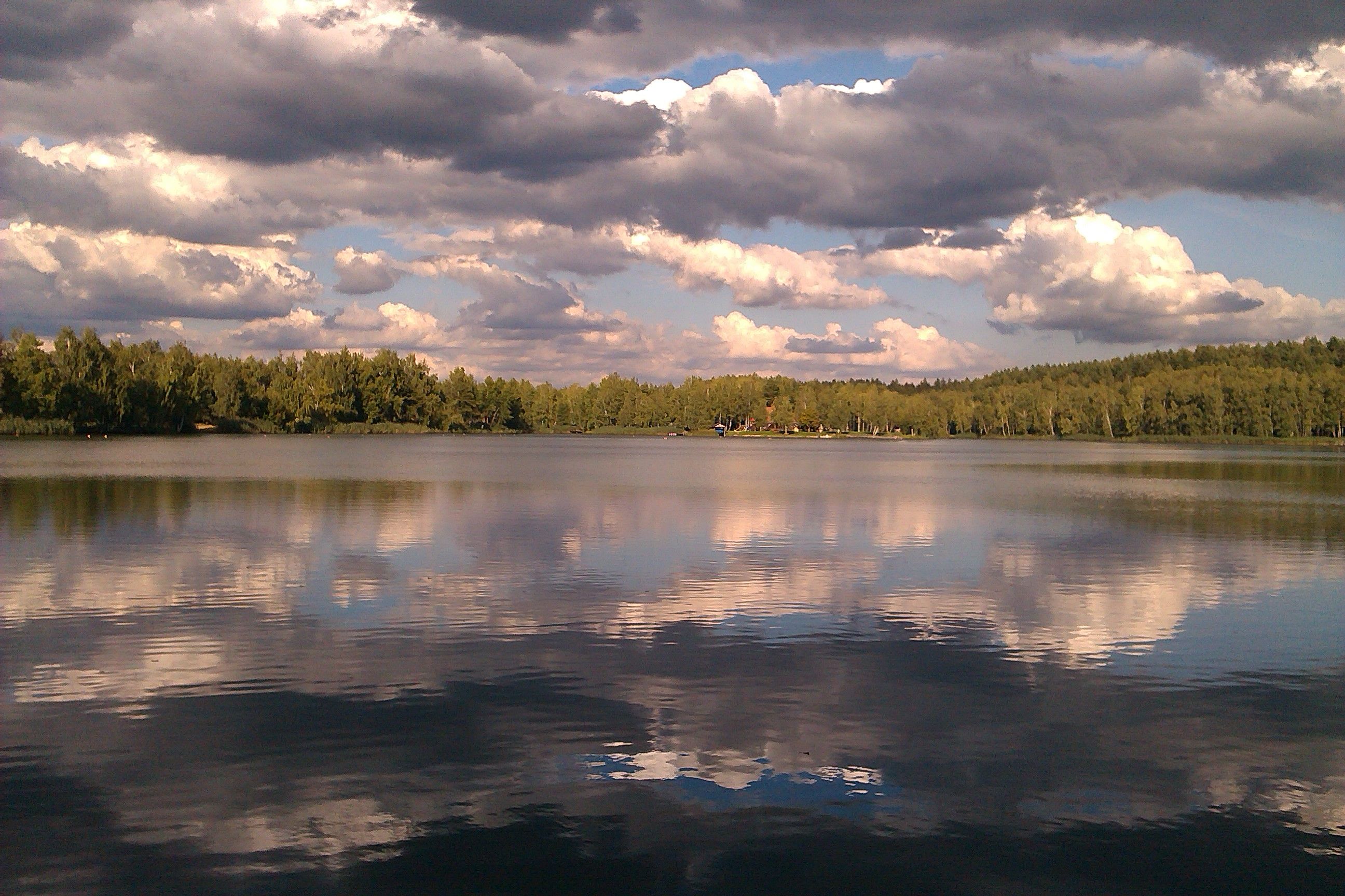 A lake with a cloudy sky and forest in the background.