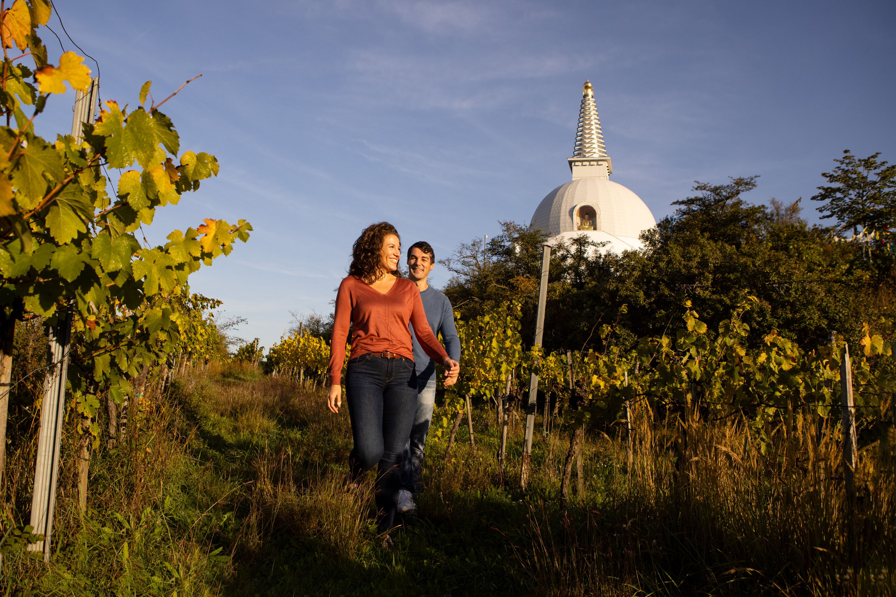 Couple walking through the vineyards, the stupa in the background