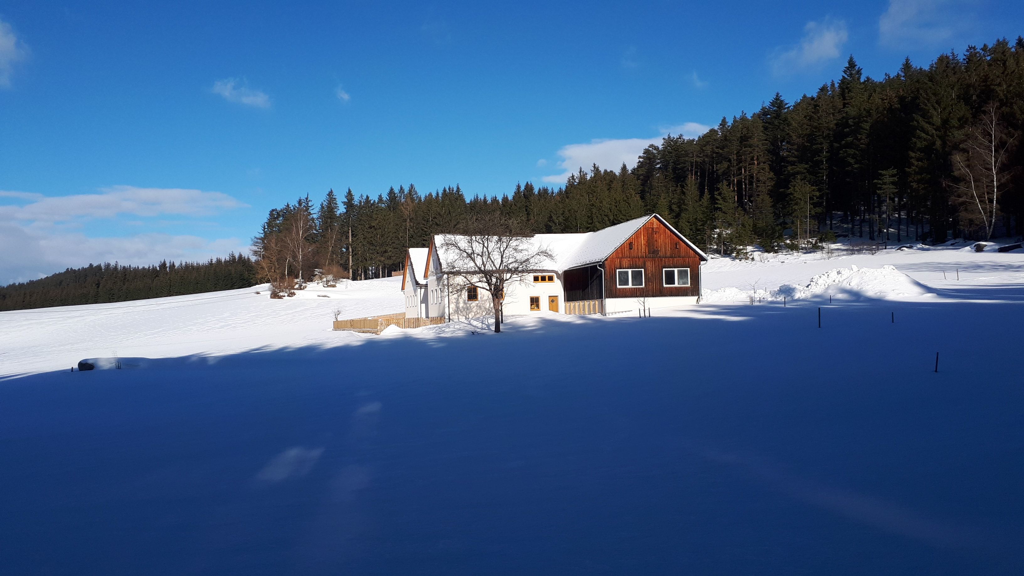 Winter view