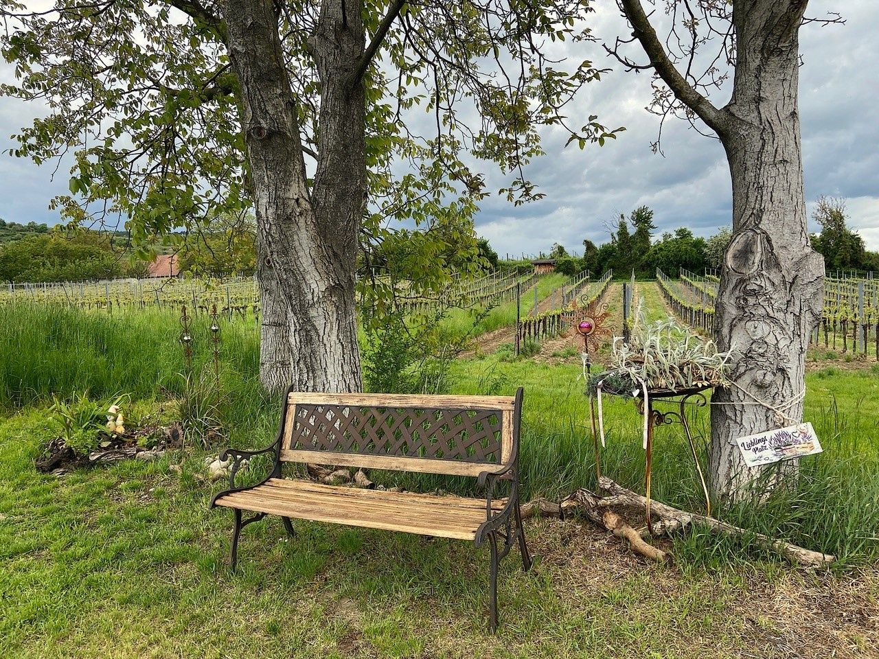 A bench invites you to rest
