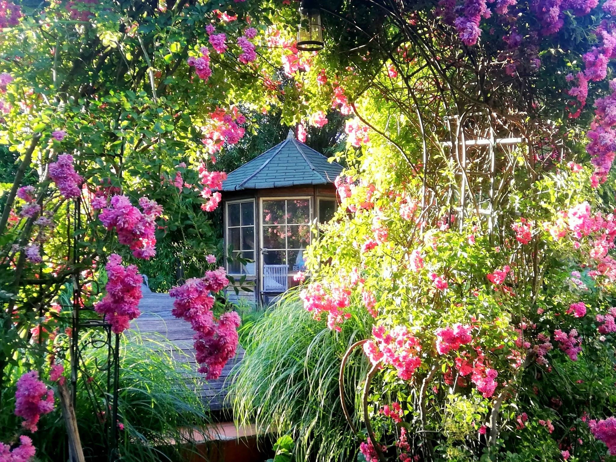 A garden with blooming pink flowers and a pavilion in the background.