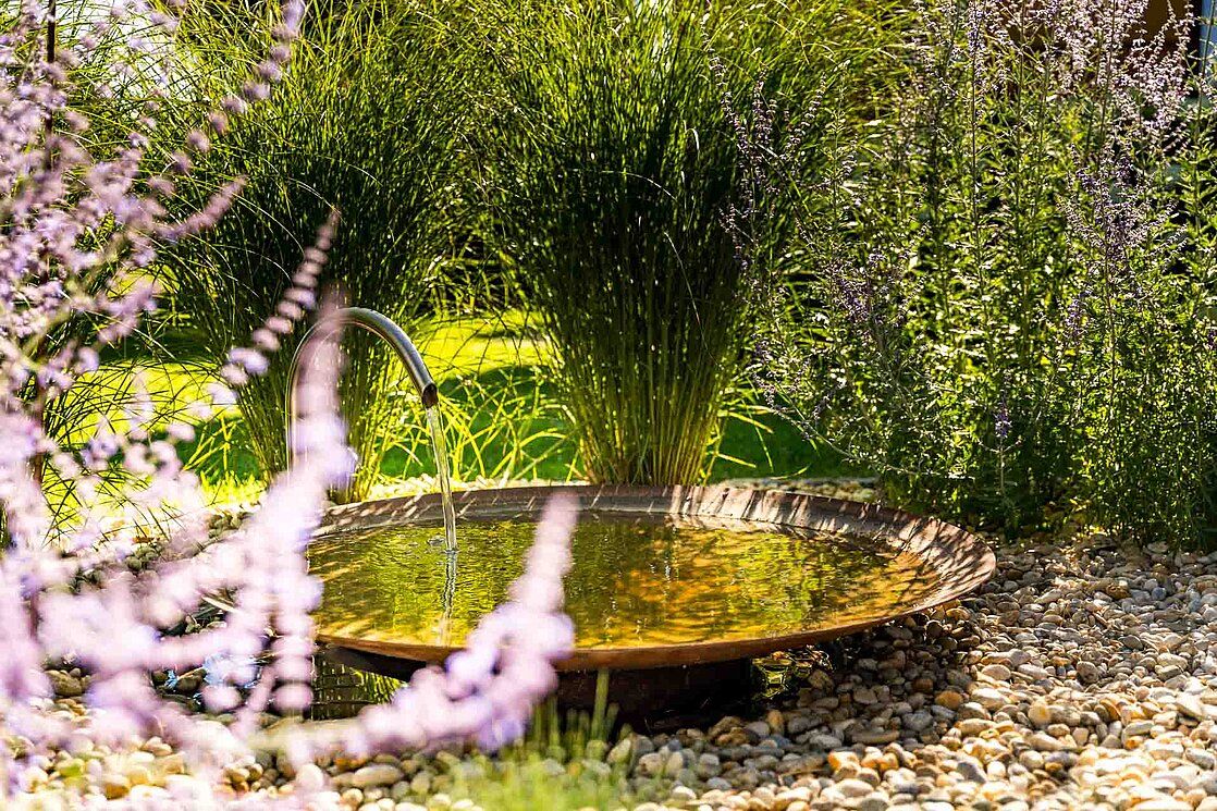 Garden with small fountain and lavender in the foreground.