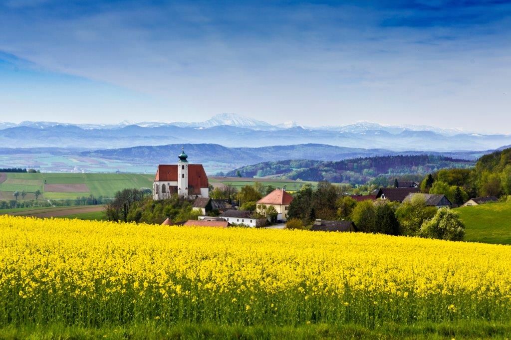 Rosehip country