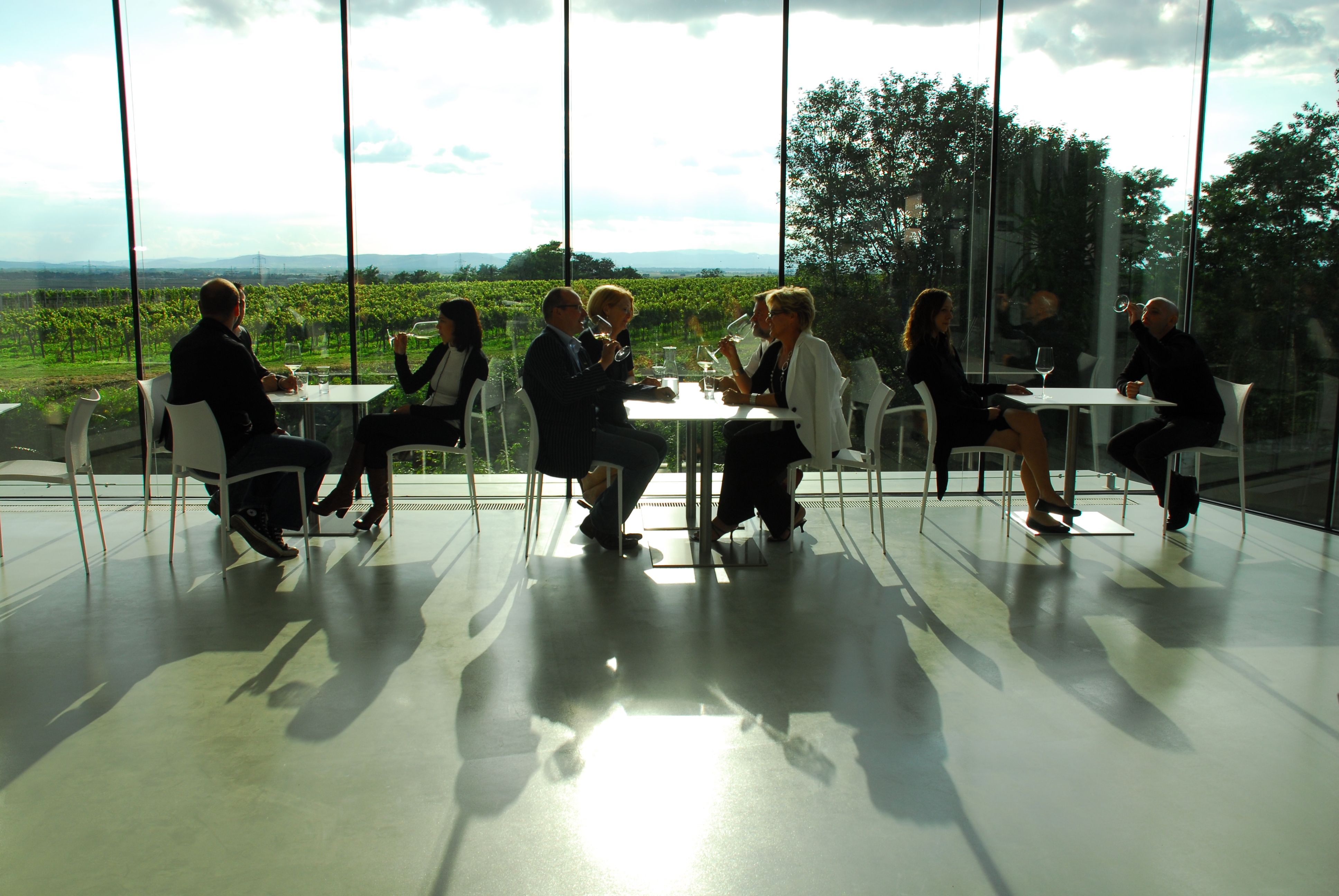 People sit in a modern wine bar with a view of vineyards.