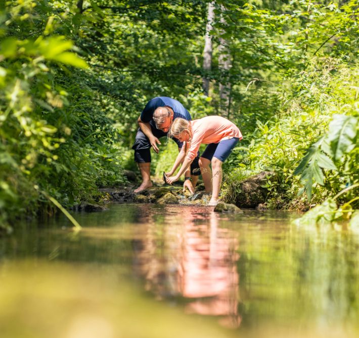 Two people bend over a stream in a green forest.