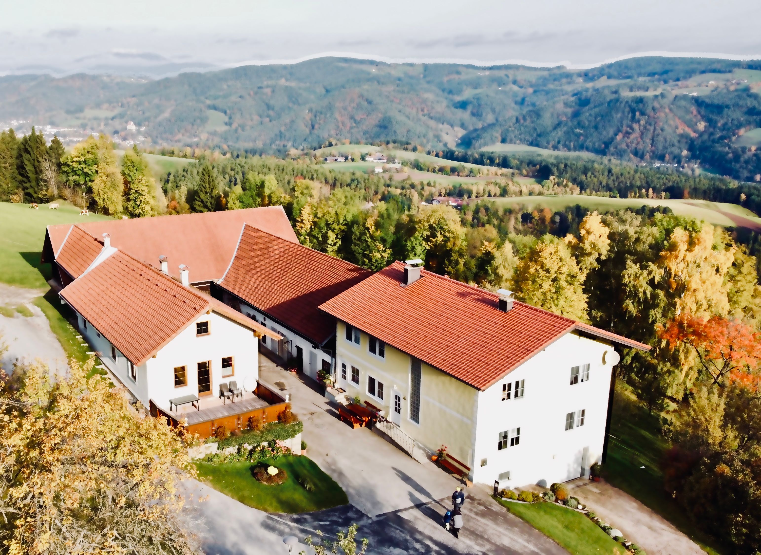 Aerial view of a farm with red roofs in a hilly landscape.