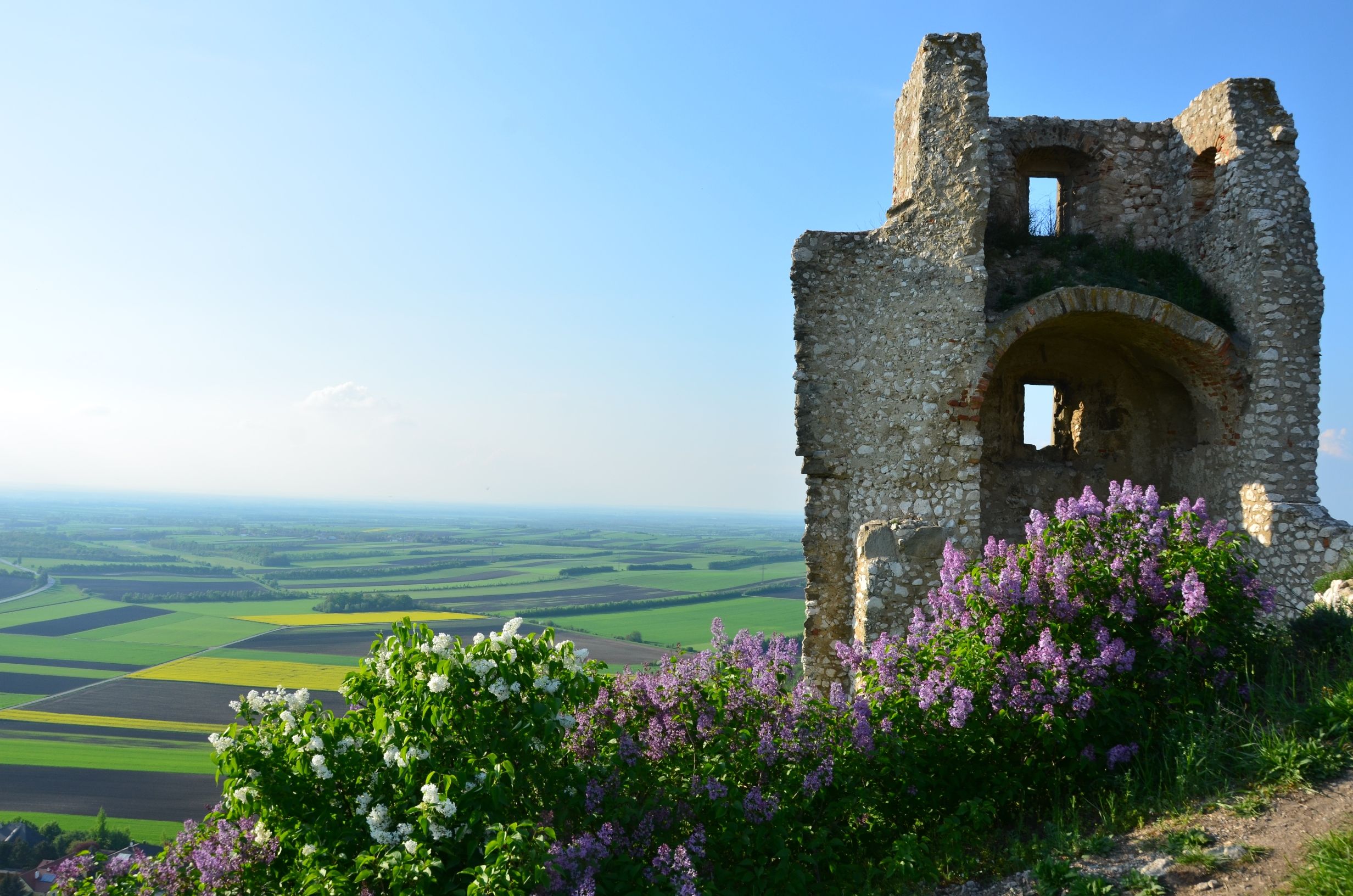 Ruin with blooming lilacs in the foreground and a wide view over fields.