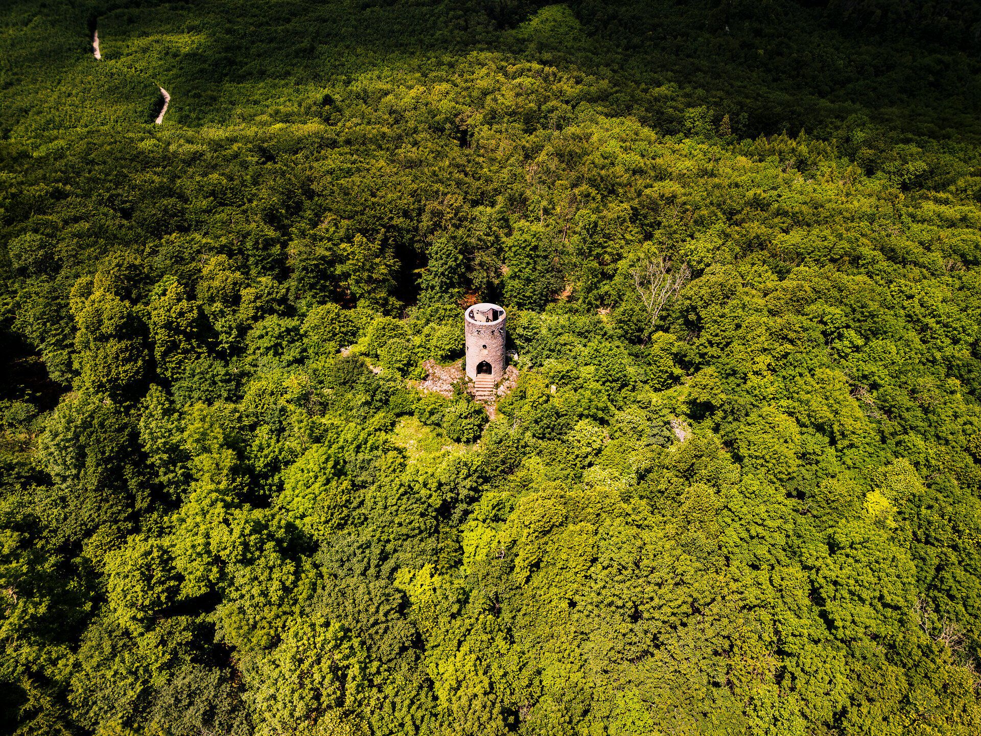 Umgeben von üppigem Grün erhebt sich die Wilhelmswarte majestätisch über die Wälder des Wienerwaldes. Von hier aus eröffnet sich ein atemberaubender Blick auf die sanften Hügel und die malerische Landschaft, die zum Verweilen und Entdecken einlädt. Ein Ort der Ruhe und Inspiration, ideal für Naturliebhaber und Wanderfreunde.