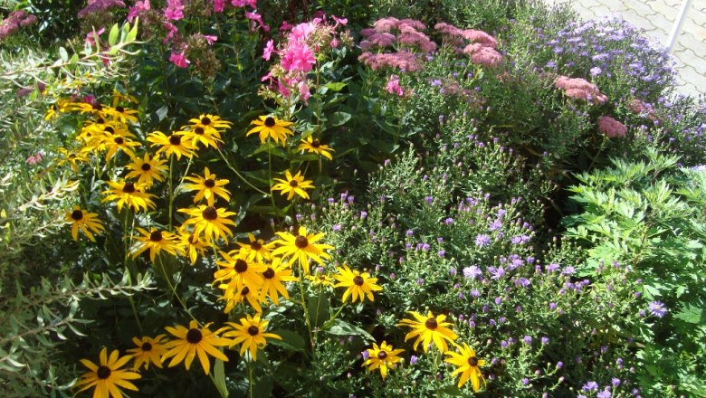 Flowers, © Fam. Sommer-Leitner