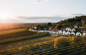 The longest cellar alley in the Weinviertel, Maulavern., © Romeo Felsenreich