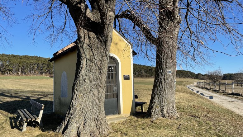 Small yellow chapel between two trees on a country lane.