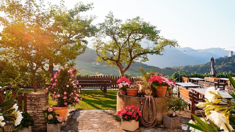 Winery Roman Gritsch, &copy; Weingut Roman Gritsch