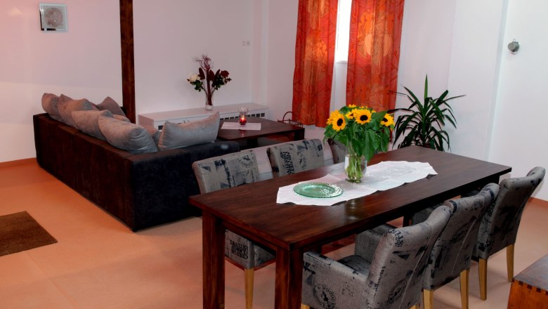 Living and dining area in a loft with wooden table, chairs, sofa and decorations.