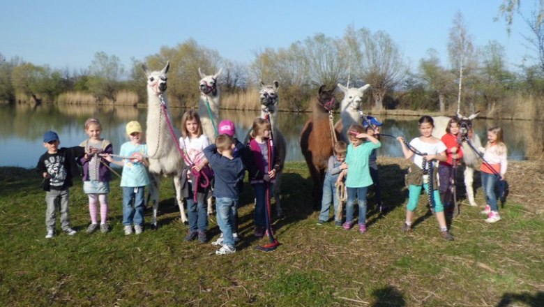 Group of children with llamas on a lakeshore.