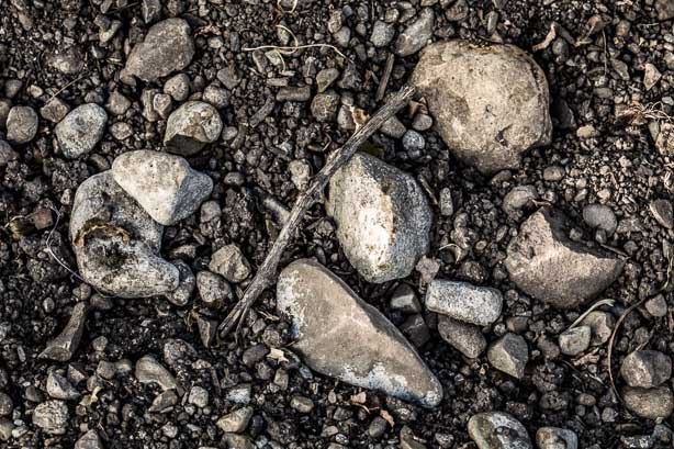 calcareous soil in Tattendorf, © Johanneshof Reinisch